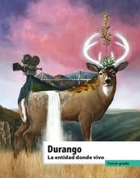 La entidad donde vivo Durango