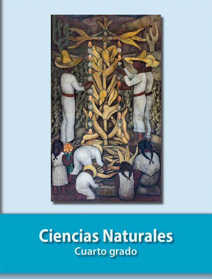 Libro de ciencias naturales cuarto grado contestado