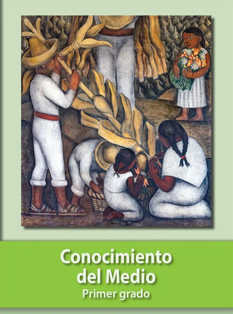 Libro conocimiento del medio primer grado contestado